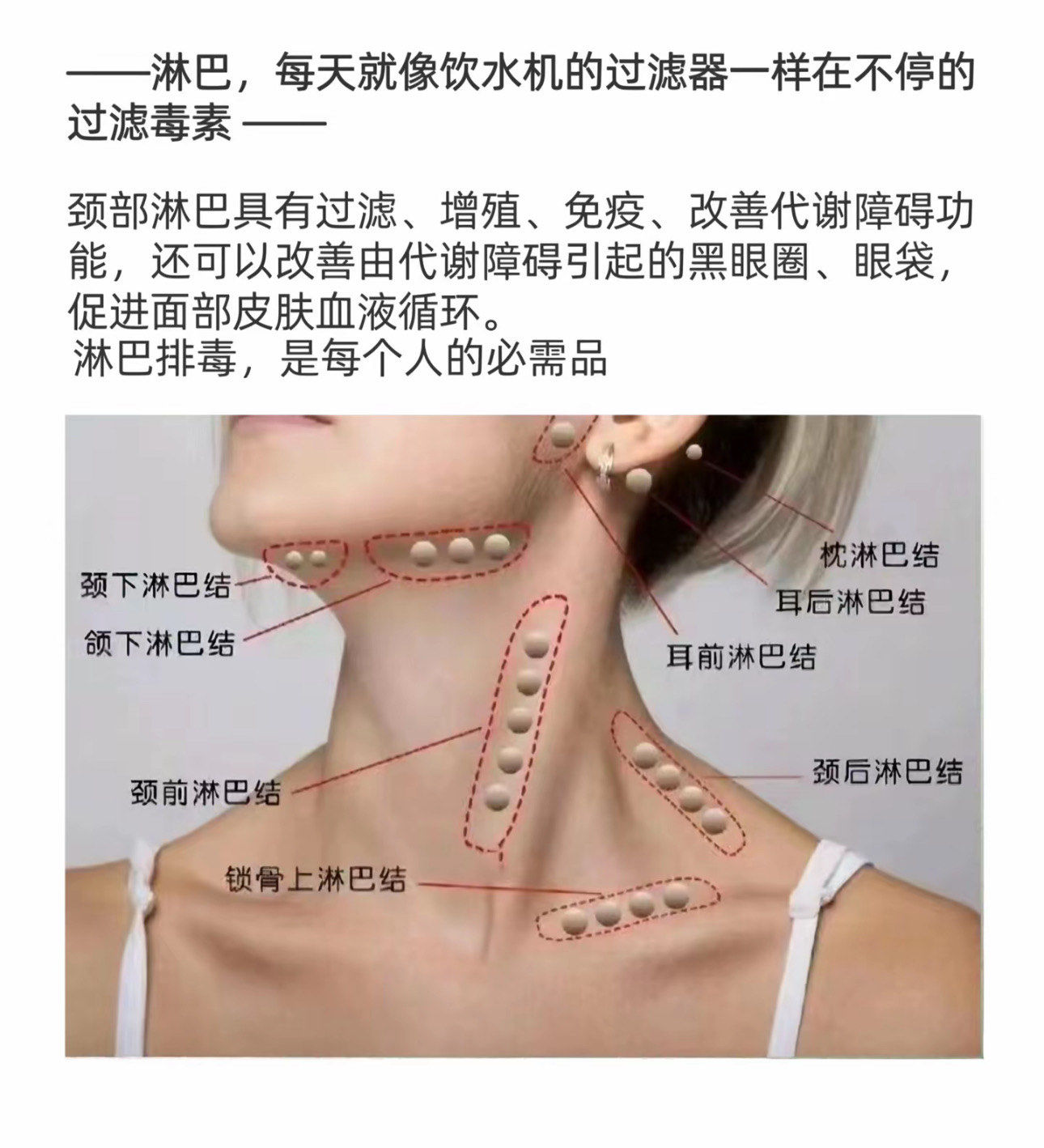 淋巴是人体最大的排du系统,长期淤堵不不