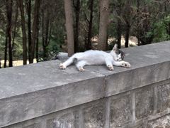 -四门塔风景区