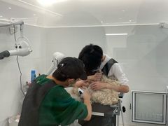 -comecome来吧宠物(奥克斯中心店)