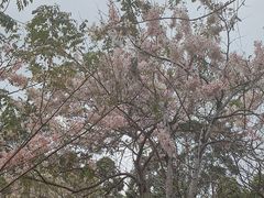 -白石龙音乐公园