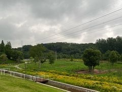-佛手湖郊野公园