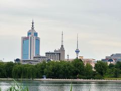 -莲花池公园