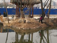 -丰台花园
