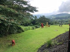 -济州森林小火车生态公园