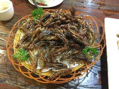 -五邑人家(江门店)