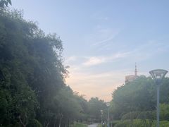 -桐乡植物园