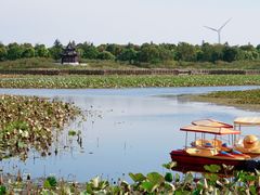 -上海海湾国家森林公园