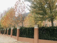 -华兰国际幼稚园(海逸园)