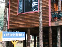 -洛阳白云山景区