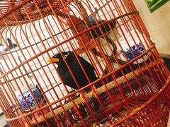 -老牌坊鲁菜名店(宽厚里店)