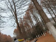 -南山风景名胜区