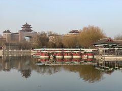 -莲花池公园