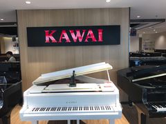 -柏斯琴行(汾阳店)