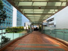 -香港大学