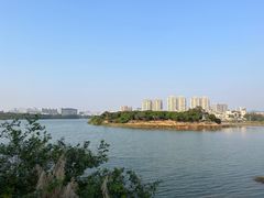 -立新湖公园