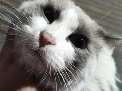 -DQ·蛋糕·冰淇淋(徐东销品茂店)