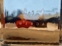 -BLACKSWAN黑天鹅(环球店)