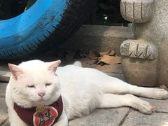 -黄埔古港