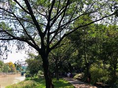 景点-成都市活水公园