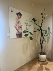 -美丽妈妈产后恢复中心(南桥旗舰店)
