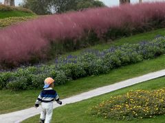 -南通洲际绿博园