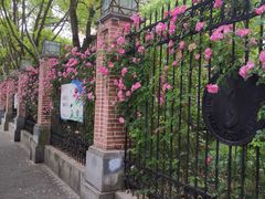 -上海市控江中学