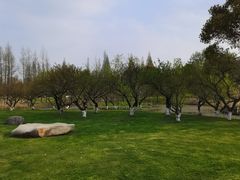 -长田漾湿地公园
