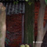 德阳 ｜去超小众的稻田咖啡 和秋天谈恋爱