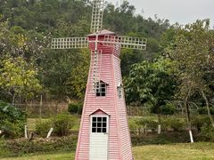 -广州白江湖森林公园