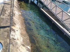 -麦哲伦丝绸度假村