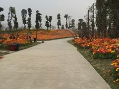 -秀丽东方