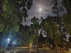 -雀儿山公园