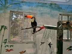 -西霞口神雕山野生动物世界