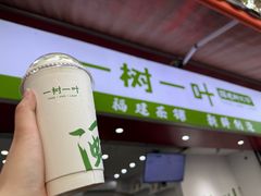 -一树一叶·福建茶档(石鼓路店)