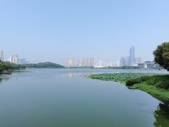 -月湖风景区