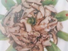 -大班家政月嫂育儿嫂(总部店)
