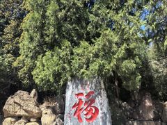 -潭柘寺景区