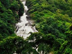 -汤锅大王(新平曹苏黄牛汤锅有限公司)