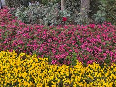 -白鹭湾湿地公园