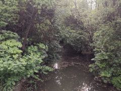 -狼山风景名胜区