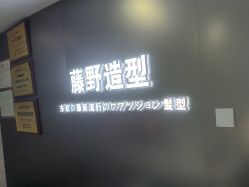 点击看大图 -藤野造型