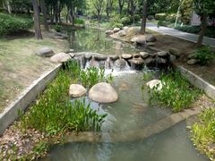 -陈家山荷花公园