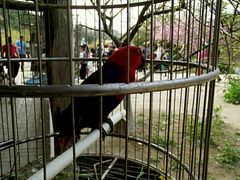 -兰陵国家农业公园