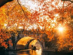 -西湖外事游船(花港观鱼码头)