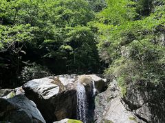 -牛背梁国家森林公园