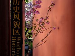 -乌山风景区