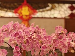 -杭州香格里拉·香宫中餐厅