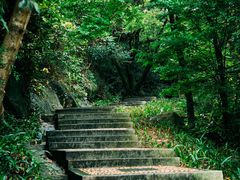 -阳台山森林公园
