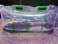 -全乐鱼馆·淳牌有机鱼直营店