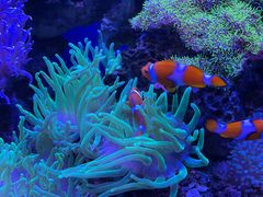 -多彩贵州城极地海洋世界